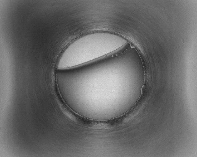 X0000112400397200908141009