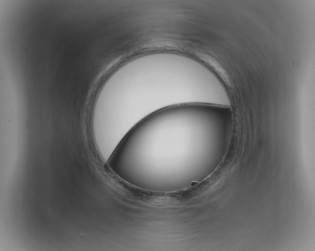 X0000112400399200908141009