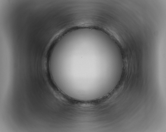 X0000112400400200908141009