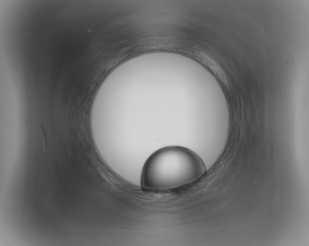 X0000112400401200908141009