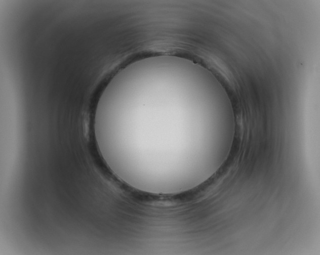 X0000112400404200908141009