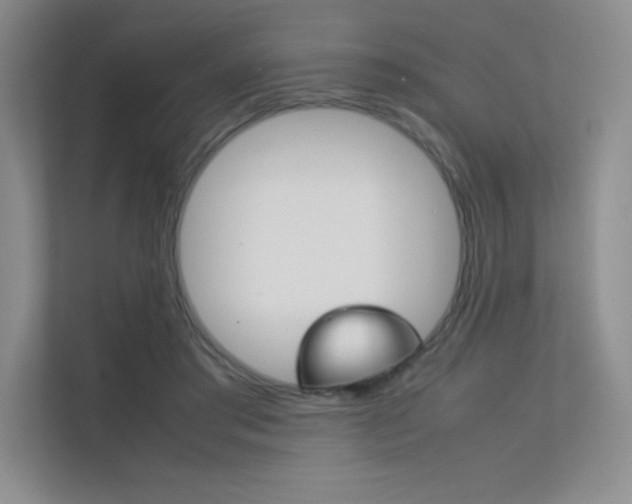X0000112400405200908141009