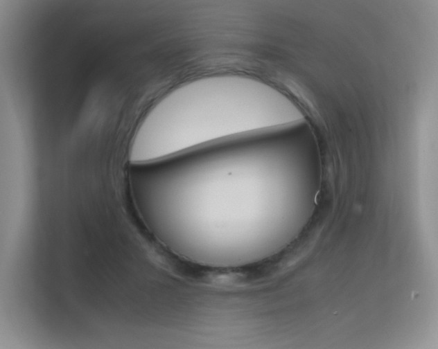 X0000112400407200908141009