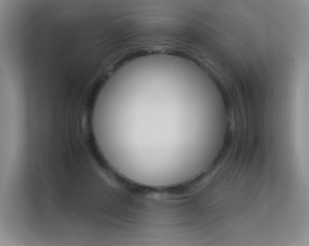 X0000112400408200908141009