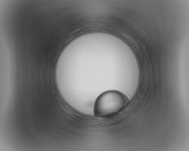 X0000112400409200908141009