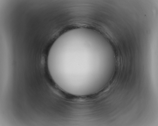 X0000112400412200908141009