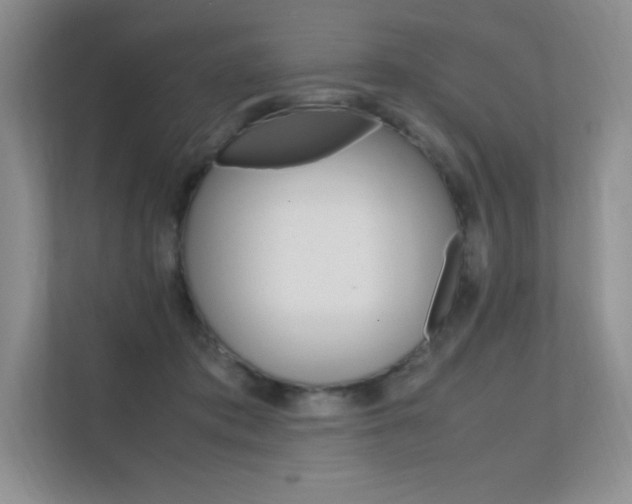X0000112400413200908141009