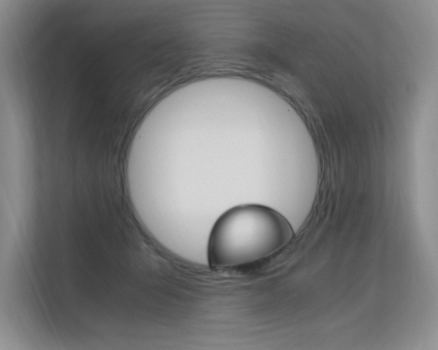 X0000112400415200908141009