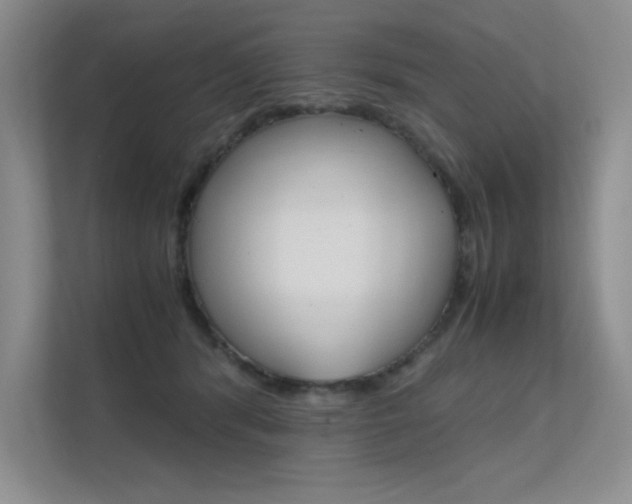 X0000112400416200908141009