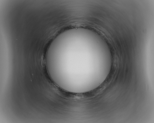 X0000112400420200908141009