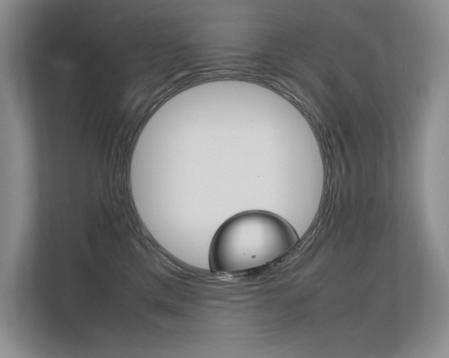 X0000112400425200908141009