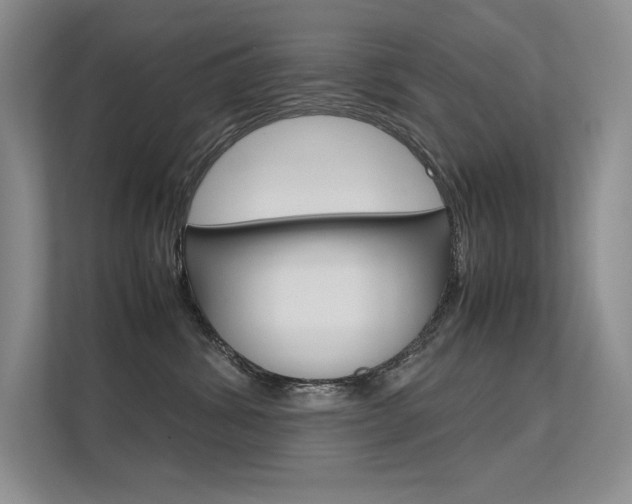 X0000112400428200908141009
