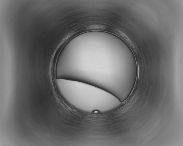 X0000112400435200908141008