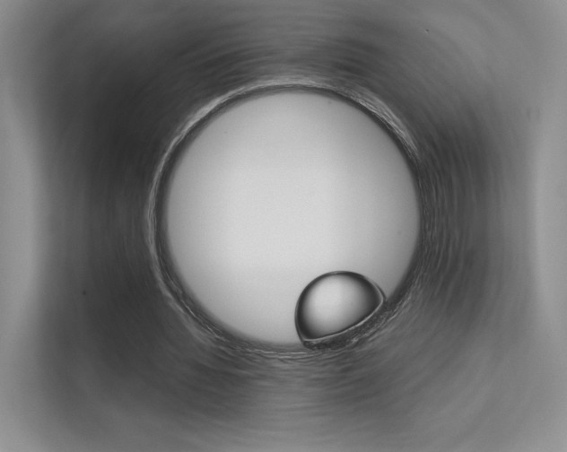 X0000112400436200908141008