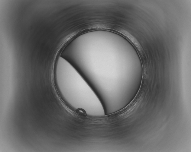 X0000112400437200908141008