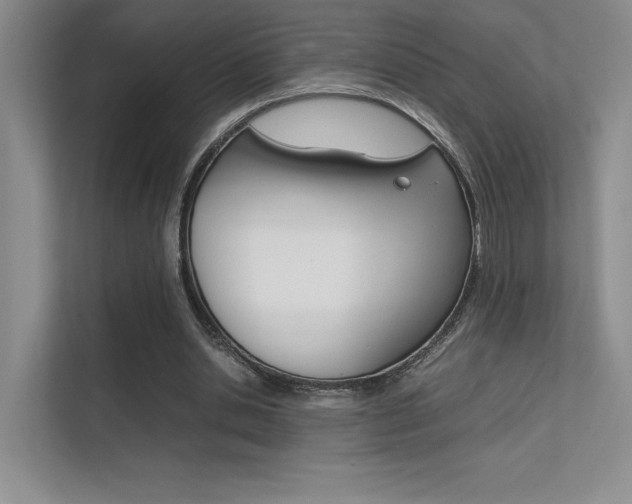 X0000112400438200908141008
