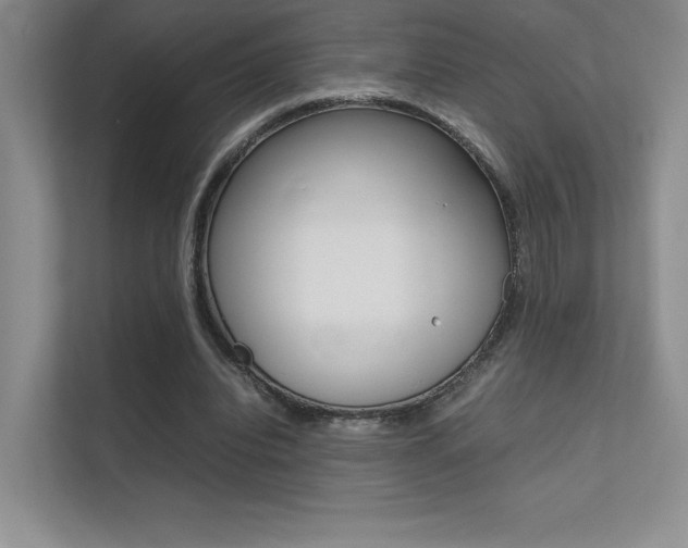 X0000112400440200908141008