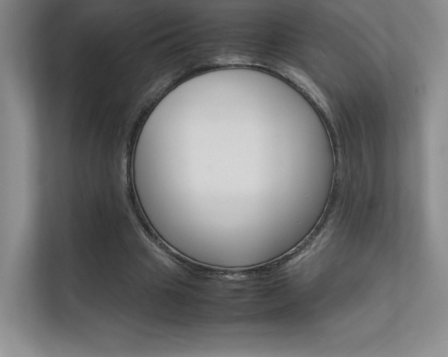X0000112400441200908141008