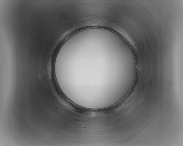 X0000112400442200908141008