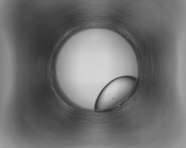 X0000112400444200908141008