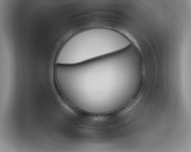 X0000112400445200908141008