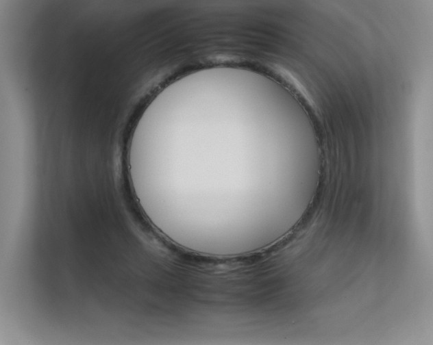 X0000112400447200908141008