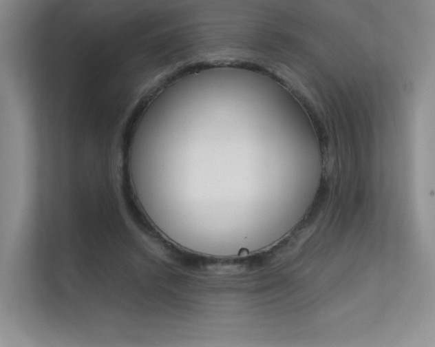X0000112400448200908141008
