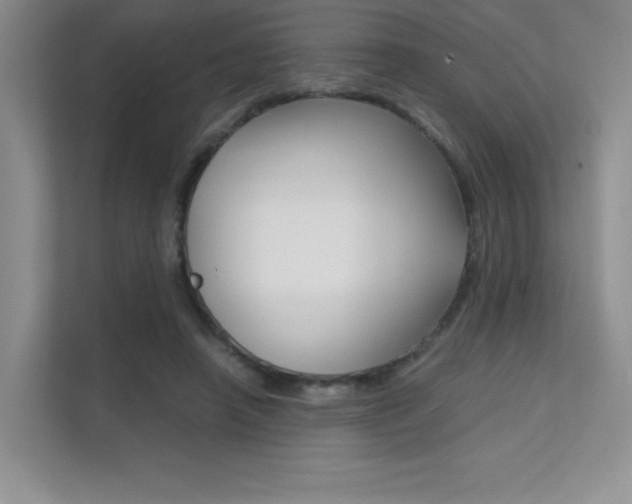 X0000112400450200908141008