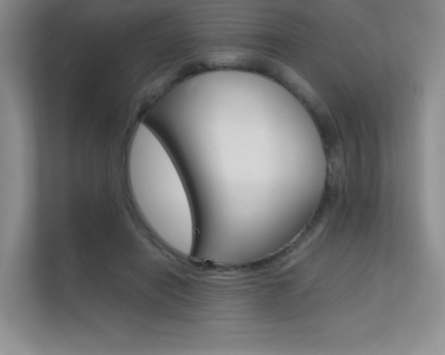 X0000112400454200908141008