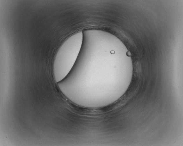 X0000112400463200908141009