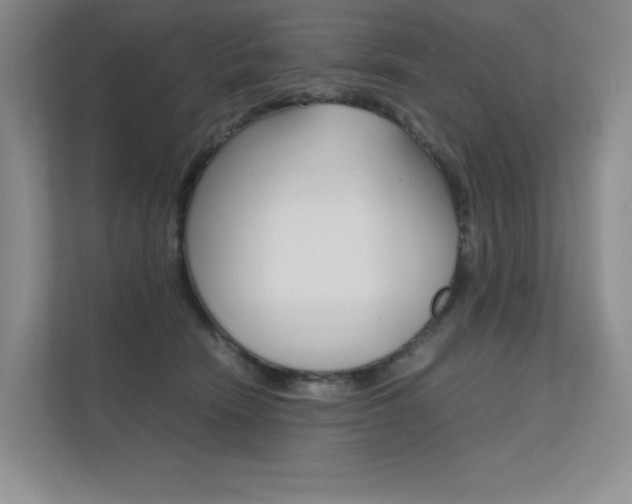 X0000112400466200908141009