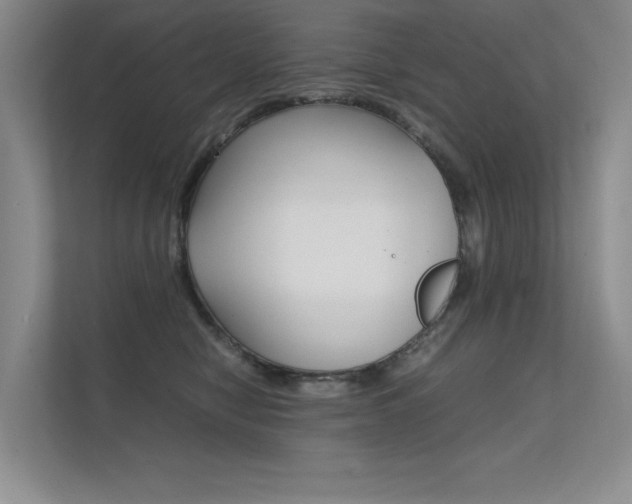 X0000112400470200908141009