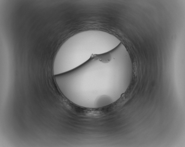 X0000112400471200908141009
