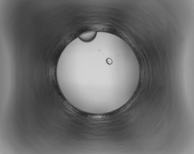 X0000112400473200908141009
