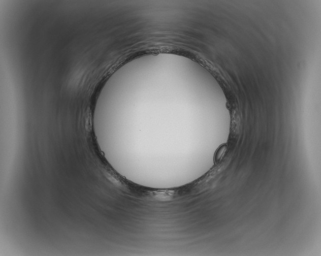 X0000112400474200908141009