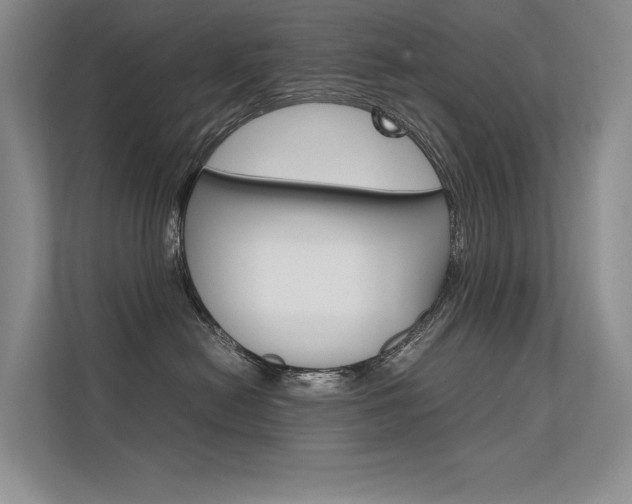 X0000112400478200908141009