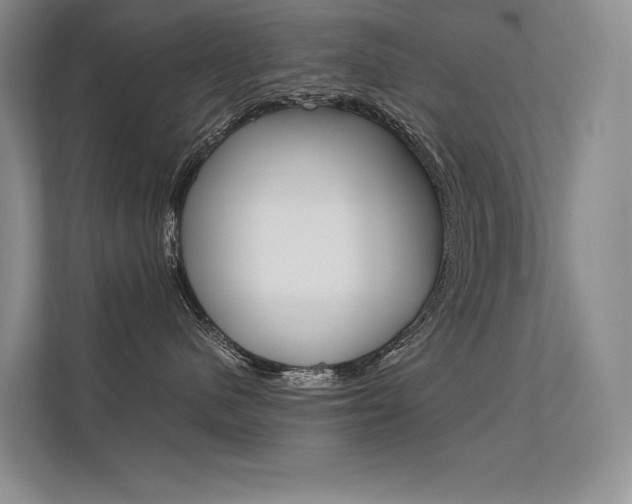 X0000112400480200908141009