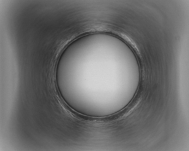 X0000112400481200908141008