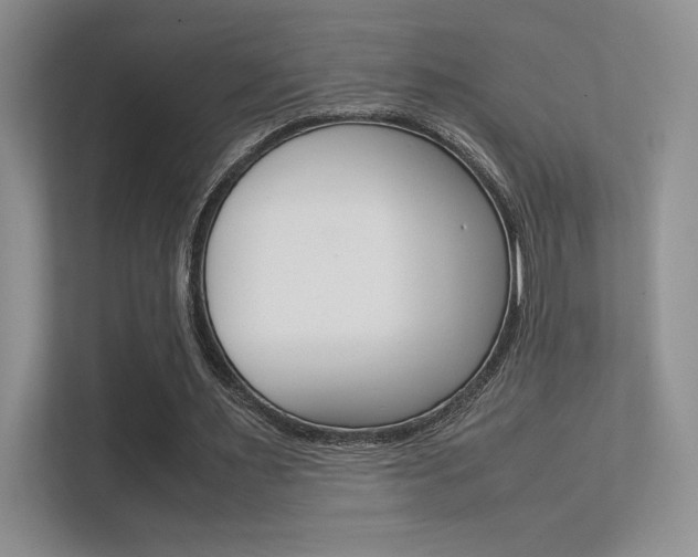 X0000112400483200908141008