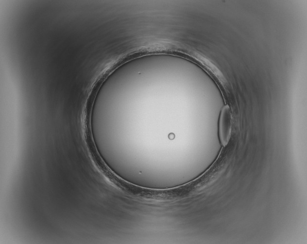 X0000112400485200908141008
