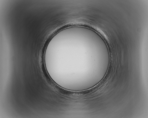 X0000112400487200908141008