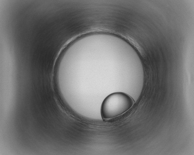 X0000112400488200908141008