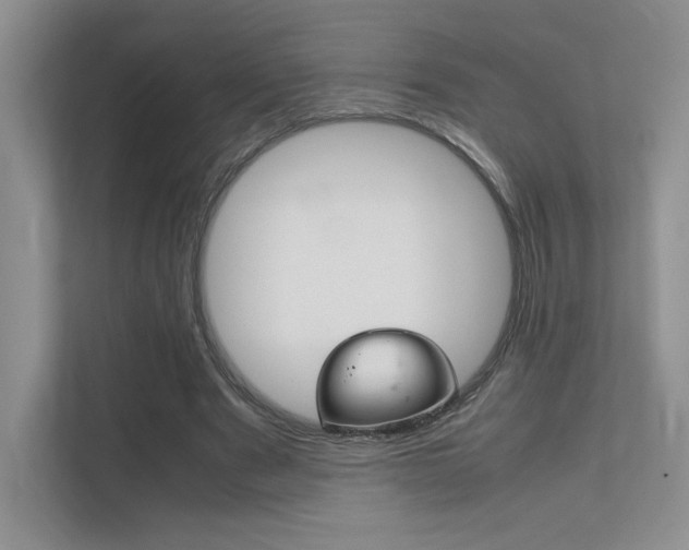 X0000112400489200908141008