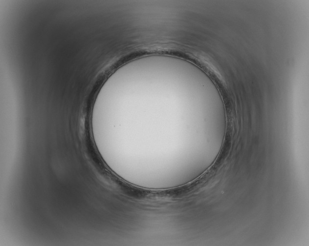 X0000112400491200908141008