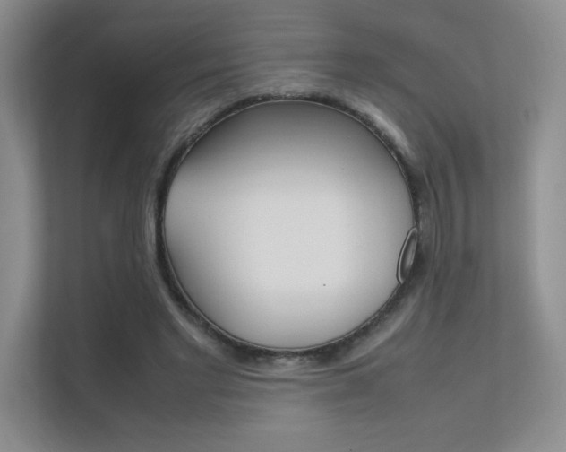 X0000112400493200908141008