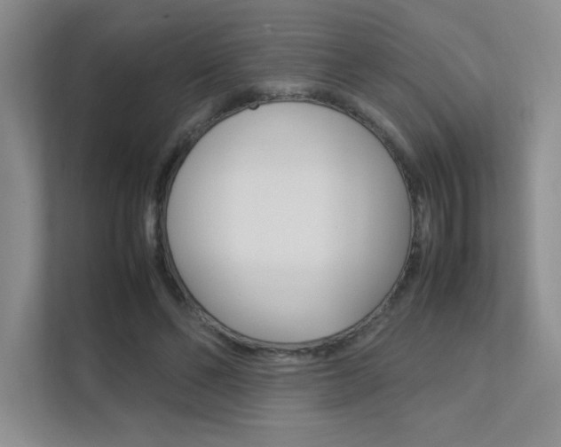 X0000112400494200908141008