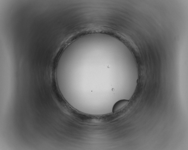 X0000112400496200908141008