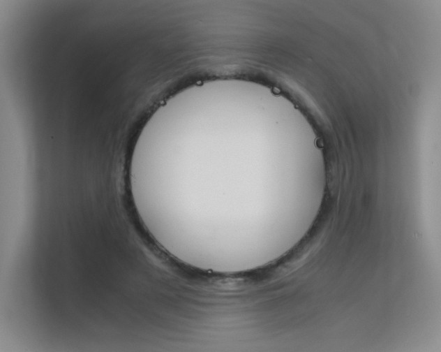 X0000112400497200908141008