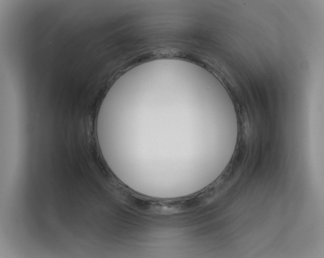 X0000112400498200908141008