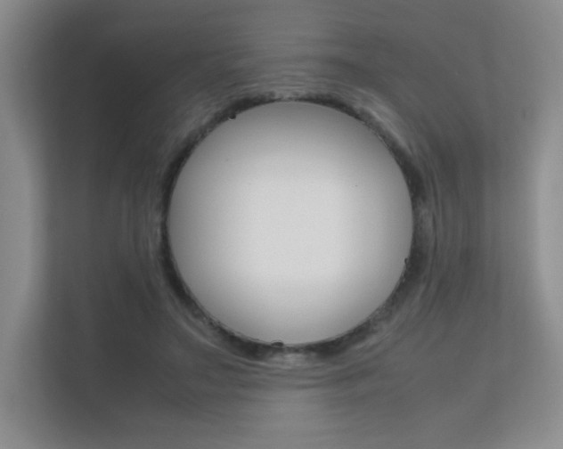 X0000112400499200908141008